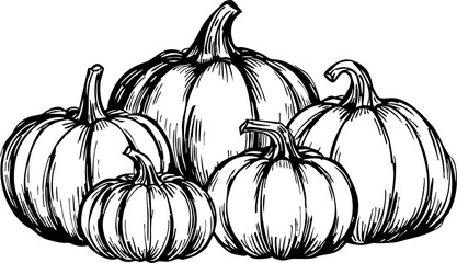 Harvest festival featuring pumpkins local farm autumn close-up celebrating seasonal produce