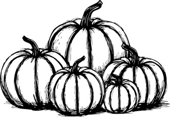 Harvesting seasonal bounty white pumpkins in autumn still life photography rustic setting artistic viewpoint nature's beauty