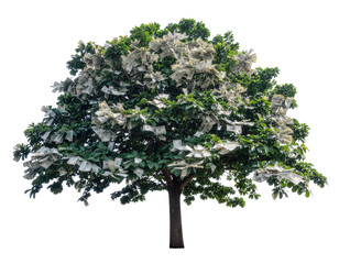 Fototapeta premium Firefly_Money tree with dollars instead of leaves isolated on cut out PNG or transparent back