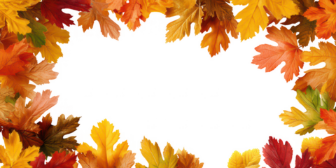 Autumn Leaves PNG Transparent Border and Falling Foliage Frame Pack – Maple, Oak, Fall Leaf Decorations