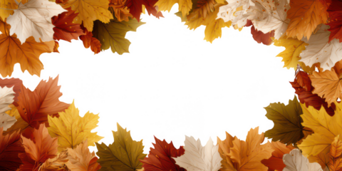 Autumn Leaves PNG Transparent Border and Falling Foliage Frame Pack – Maple, Oak, Fall Leaf Decorations