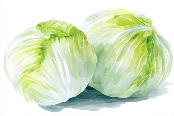 Fototapeta premium Watercolor illustration of two fresh, green heads of lettuce with detailed leaves, isolated on a white background