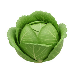 Fototapeta premium Fresh Green Cabbage on Transparent Background
