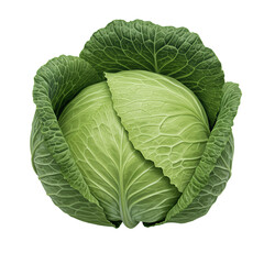 Fototapeta premium Fresh Green Cabbage Close up on Transparent Background