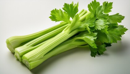 fresh celery stalks isolated on transparency background
