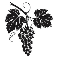 Obraz premium Grapes bunch