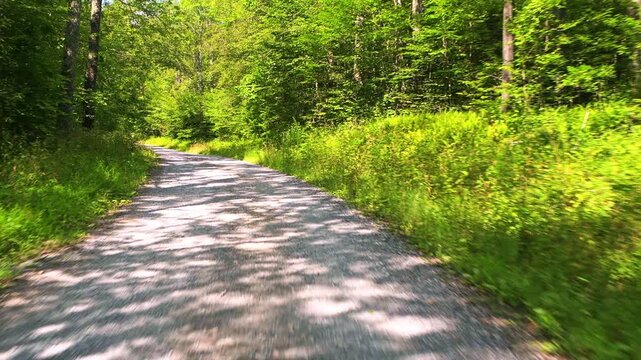 Gaudineer knob at Monongahela national forest Allegheny mountains of West Virginia, car pov point of view driving on sunny countryside dirt road