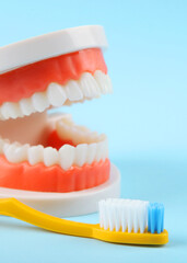 Obraz premium Dental model of teeth and dental care products on colored background. Vertical photo format