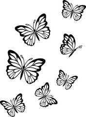 set of vector butterflies
