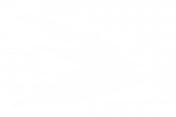 Radial speed lines bursting from central point, creating dynamic motion effect against transparent background, suggesting rapid movement