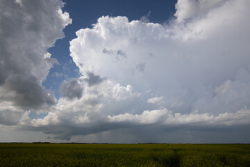 Severe Thunderstorms