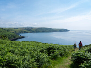 south west coast path at lantic bay in cornwall © ahavelaar