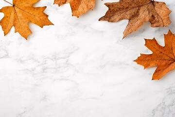 Autumn maple leaves in warm shades of orange and brown scattered on a white marble background with copy space