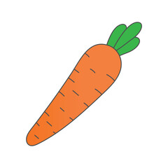 carrot vector illustration