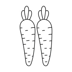 vector illustration of a carrot