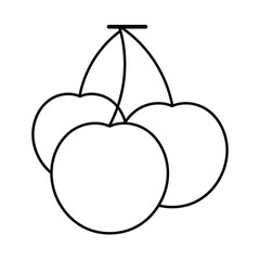 vector illustration of a cherry