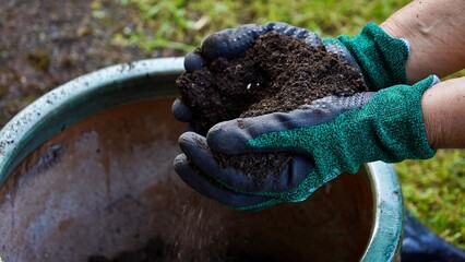 Close-Up of female gardener in gloves Hands Pouring Soil into Flower Pot