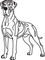 Obraz premium Majestic great dane standing tall with a serene and calm expression