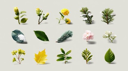 Fototapeta premium Botanical arrangement with leaves, buds and sprigs on a neutral background