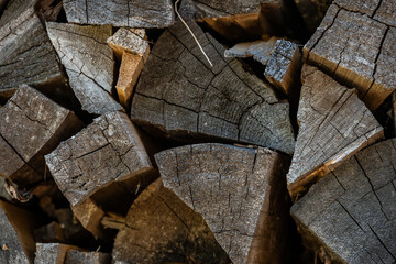 End Texture Of Cut Logs