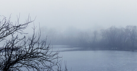 Foggy winter landscape with river and tree branches in foreground, atmospheric cold nature scene with minimalist mood for design and seasonal projects