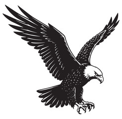 Obraz premium Powerful black and white american bald eagle with wings outstretched in flight