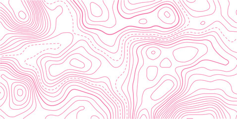 pink color line. white background. Vector illustration 