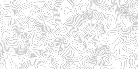 Topographic map lines background. Abstract vector illustration.. White Background 