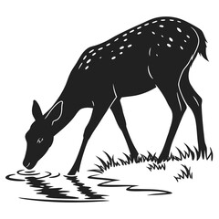 Deer drinking water