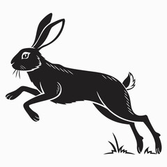 Hare running