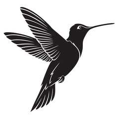 Hummingbird hovering