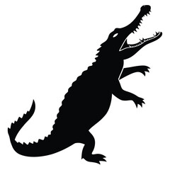 Crocodile open mouth