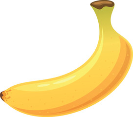 Ripe banana fruit vector illustration
