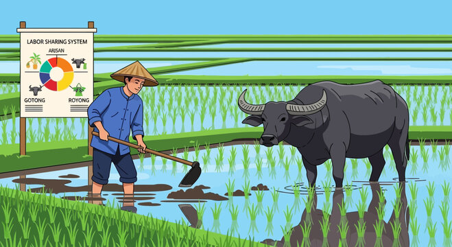 Traditional farming practices illustration with farmer water buffalo in rice paddy field labor