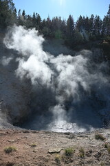 Geysers of the Yellowstone