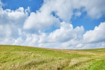 Obraz premium Rural landscape on a sunny day, Poland.