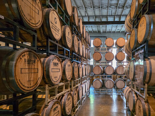 barrels of wine