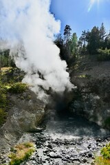 Geysers of the Yellowstone