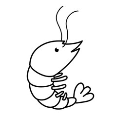Outline cute illustration of shrimp