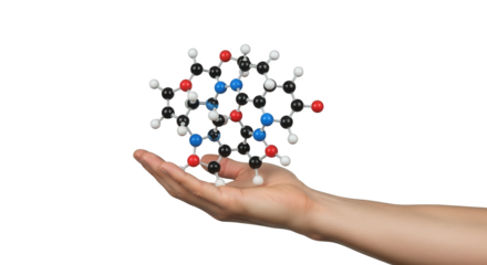 Molecule structure in hand science education chemistry research pharmaceutical compound organic chemistry model 3d on transparent background