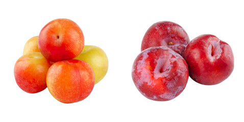 Duo of alyanak and anjelika plums, arranged including balanced tones and natural shine.