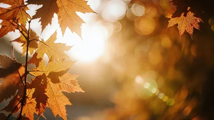 Handdoek met foto Meisjeskamer The magic of autumn nature trail photography with soft bokeh and serene sunlit backgrounds  © rookielion