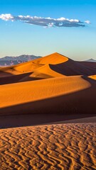 Golden sand dunes at sunrise (1)