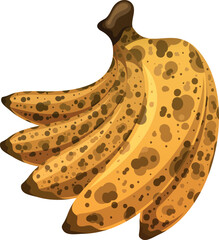 Fototapeta premium Overripe banana fruit bunch vector illustration