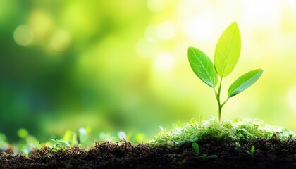 Esg Environmental, Social, And Corporate Governance Highlights Company'S Impact On Environmental And Social Issues In New Report.