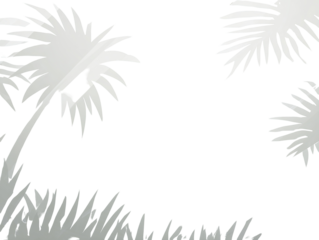 Silhouetted palm trees in grayscale, with intricate detail