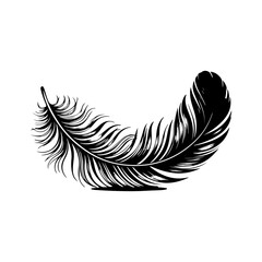 Obraz premium Detailed black feather silhouette isolated on white for creative projects and designs vector