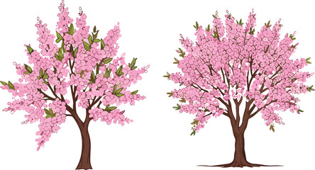 Obraz premium Cherry blossom tree illustration, pink spring flowers vector, Japanese sakura garden clipart, seasonal floral design element, decorative nature graphic, isolated on white background