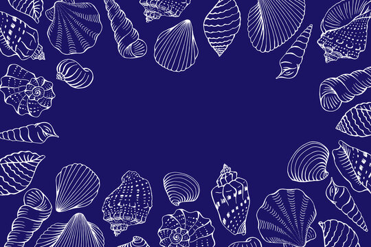 Frame with seashells. Hand drawn vector illustration.