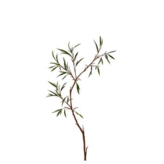 Stylized Green Leaves on a Brown Branch Minimalist Plant Illustration.